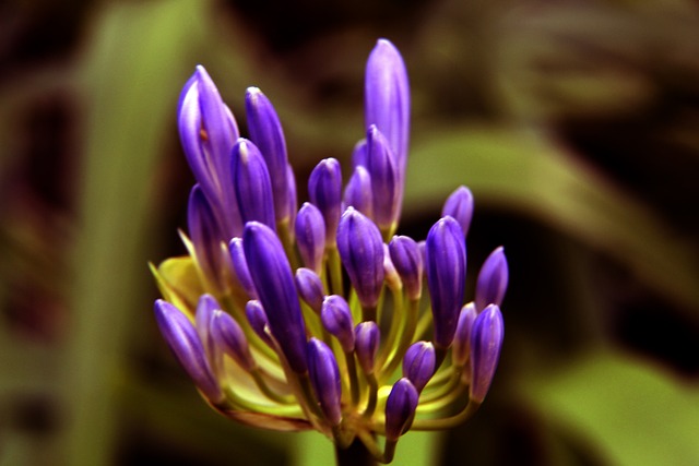 技战术检验 技战术检验