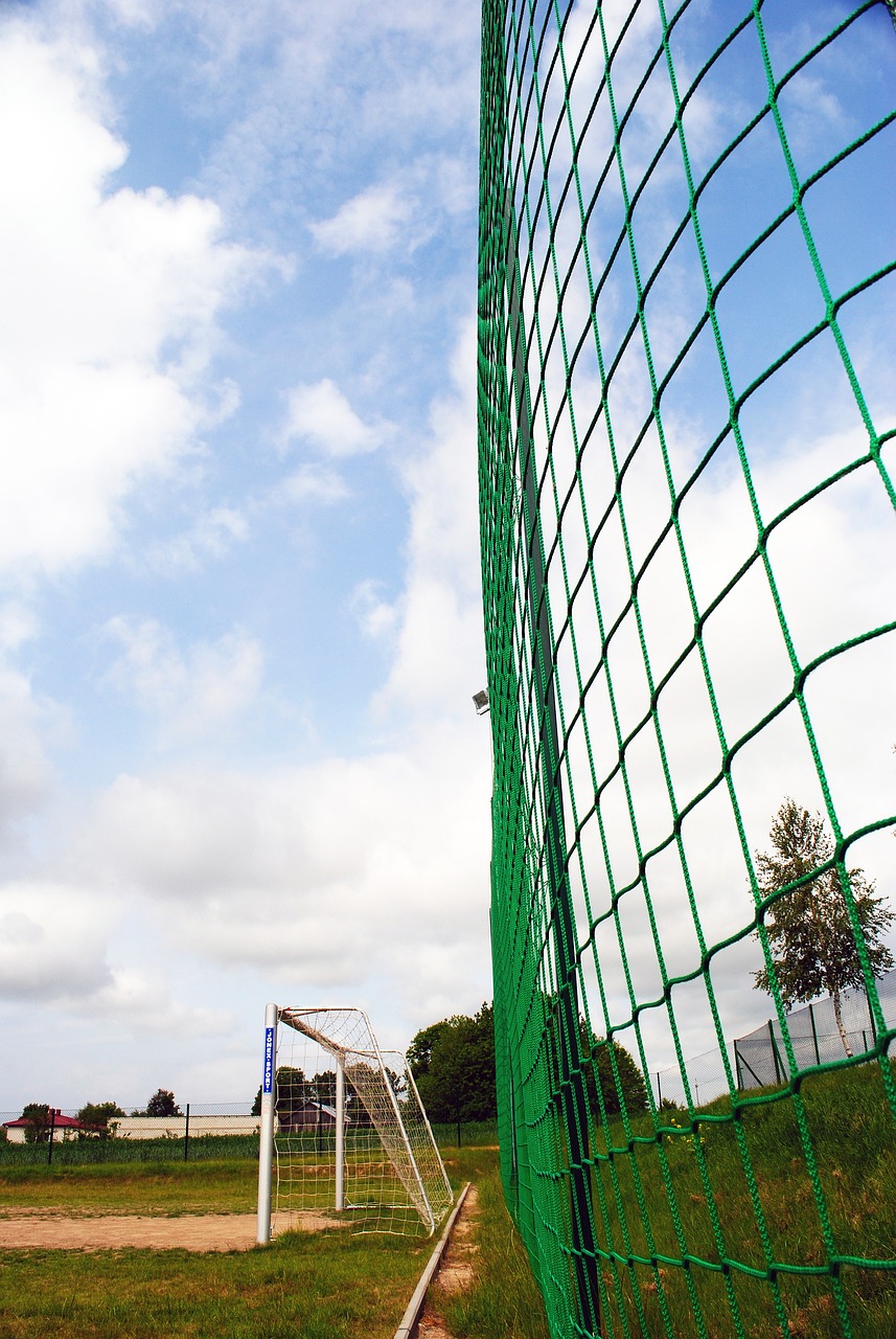 系的完善 系的完善