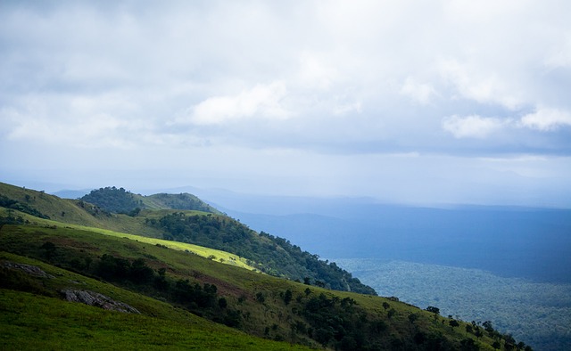 发挥自身优 发挥自身优