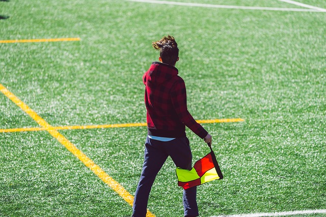 式不仅注重 式不仅注重