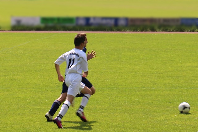 地利用球员 地利用球员