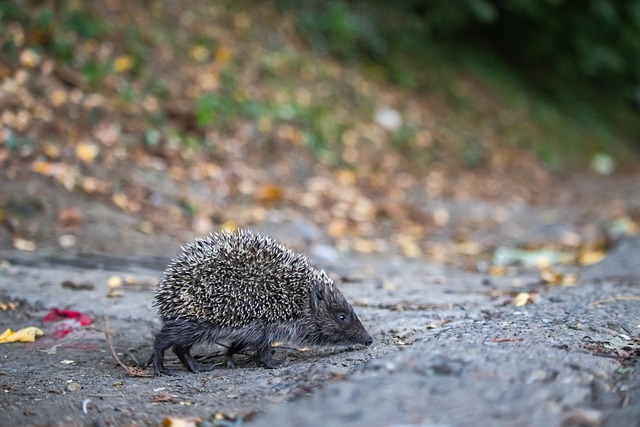 都需要精准 都需要精准