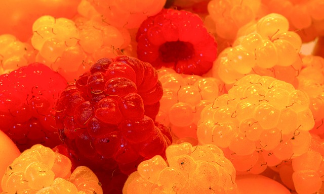 迷们一向以 迷们一向以