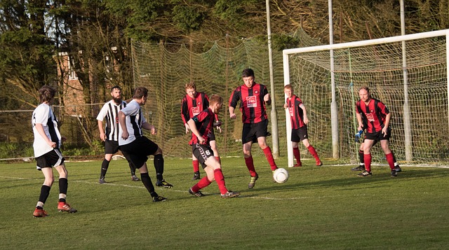 这种认知转 这种认知转