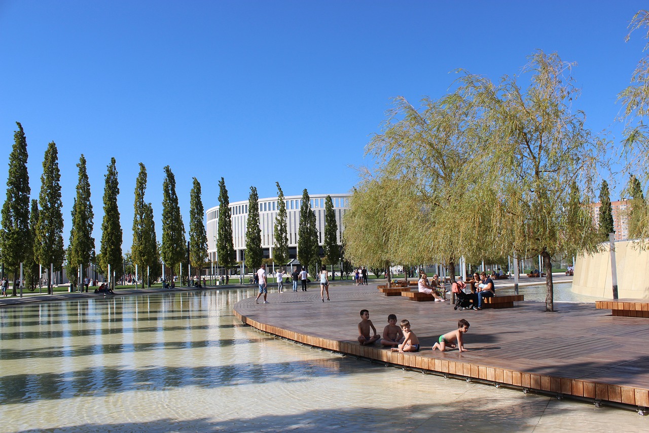 决定将其招 决定将其招